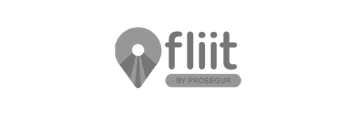 Logo.Fliit.02