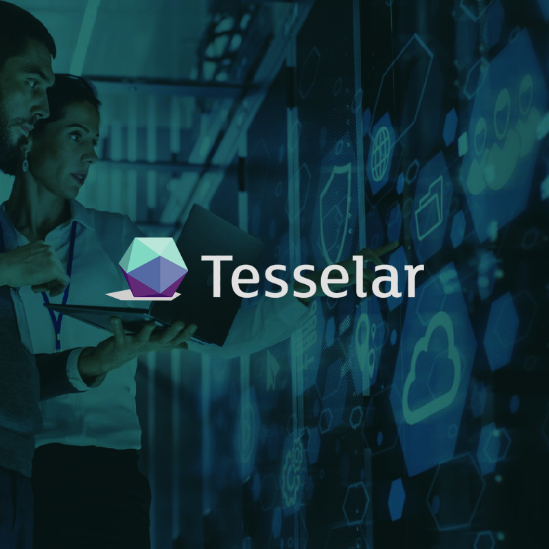 Tesselar.02